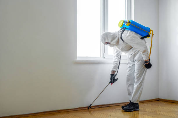 Professional Pest control in Wolverine Lake, MI